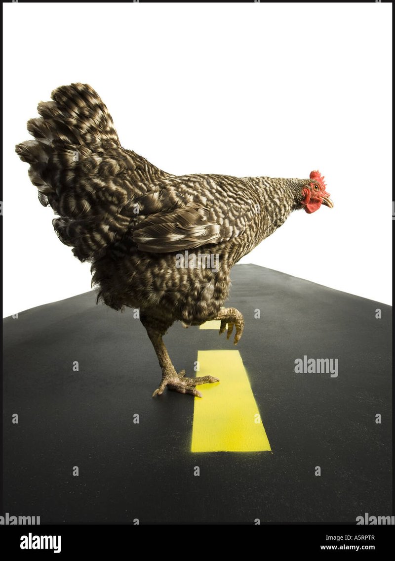 Image: Descubre el Juego de la Suerte en Chicken Road Casino en España Image: Descubre el Juego de la Suerte en Chicken Road Casino en España